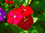 20070807tk13.jpg