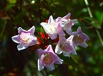 20070807tk18.jpg