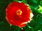 20070807tk19.jpg