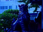 20070825hkt02.jpg