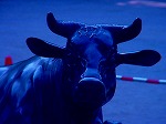 20070825hkt03.jpg