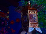 20070825hkt11.jpg