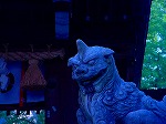 20070825hkt14.jpg