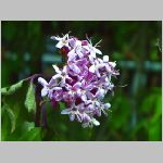 20070827k04.jpg