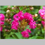 20070827k07.jpg