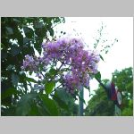 20070827k08.jpg