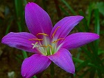 20070828k03.jpg