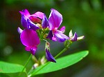 20070828k04.jpg