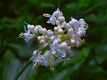 20070828k05.jpg
