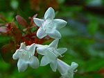 20070828k06.jpg