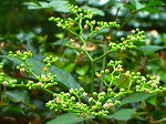 20070828k08.jpg