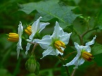 20070828k09.jpg