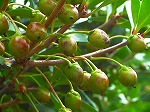 20070828k11.jpg