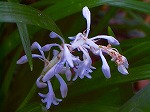 20070828k12.jpg