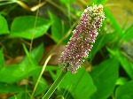 20070828k13.jpg