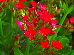 20070828k17.jpg