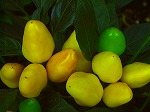 20070828k19.jpg