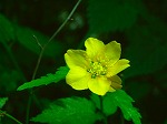 20070828k20.jpg