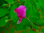 DSC07959.jpg