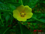DSC07962.jpg