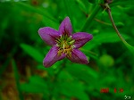 DSC08008.jpg