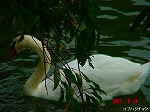 DSC08027.jpg