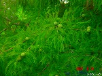 DSC08029.jpg