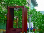 DSC08034.jpg