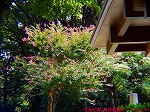 P9280001.jpg