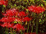 P9280006.jpg