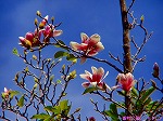 P9280041.jpg