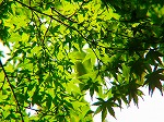 P9280070.jpg