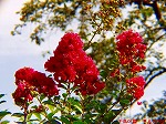 P9280073.jpg