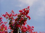 P9280077.jpg