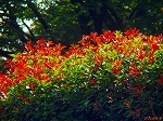 P9280080.jpg