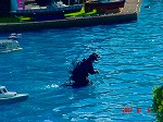 DSC08057.jpg