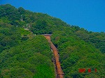 DSC08077.jpg