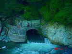 DSC08084.jpg