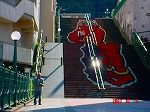 DSC08091.jpg