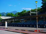 DSC08098.jpg