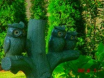 DSC08099.jpg