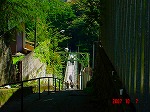 DSC08111.jpg