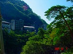 DSC08113.jpg
