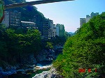DSC08115.jpg