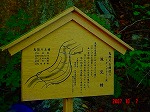 DSC08118.jpg