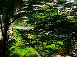 DSC08120.jpg
