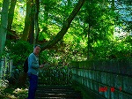 DSC08121.jpg