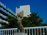 DSC08134.jpg