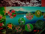 DSC08151.jpg