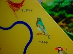 DSC08152.jpg